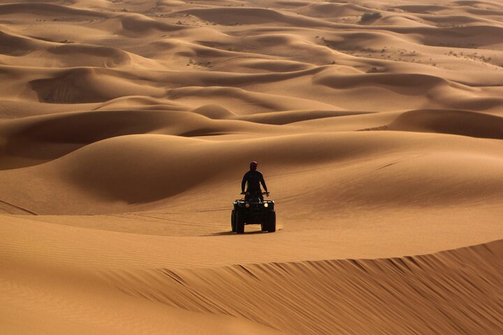 6 Hours Sunset Safari Tour in Abu Dhabi - Image 5
