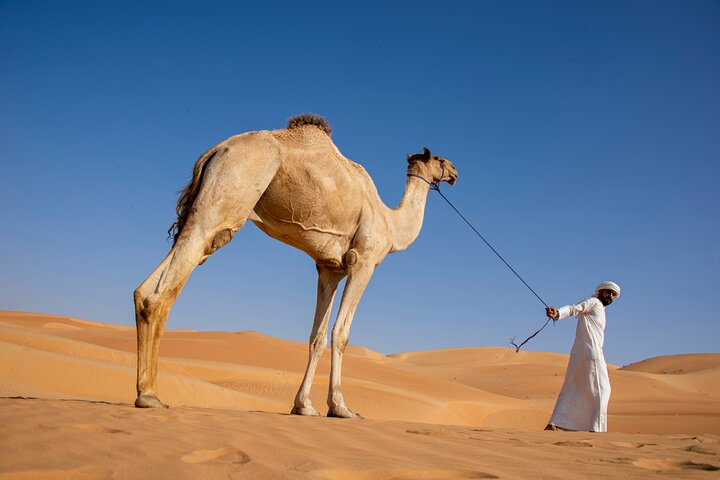 6 Hours Sunset Safari Tour in Abu Dhabi - Image 4
