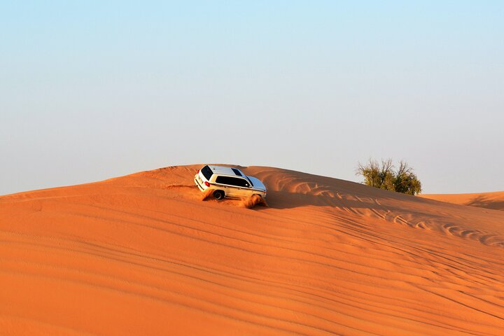 6 Hours Sunset Safari Tour in Abu Dhabi - Image 1