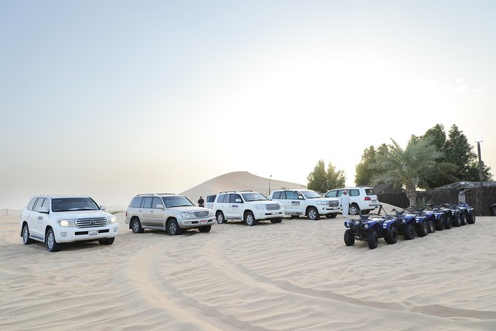 Abu Dhabi City Tour and Desert Safari - Image 5