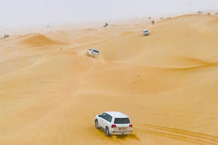 Abu Dhabi City Tour and Desert Safari - Image 4