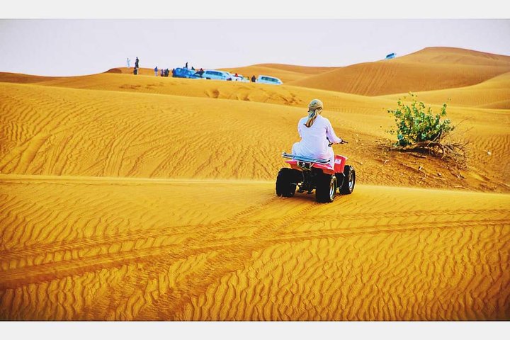 Abu Dhabi desert safari with sand boarding with BBQ dinner | MyHolidaysAdventures - Image 4