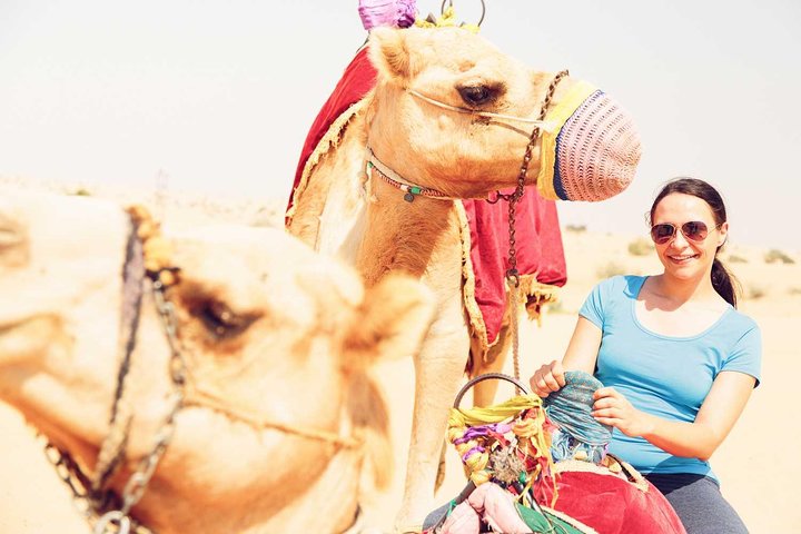 Abu Dhabi desert safari with sand boarding with BBQ dinner | MyHolidaysAdventures - Image 3