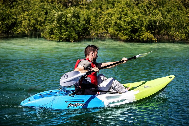 Abu Dhabi Eastern Mangrove Lagoon National Park Kayaking - Guided Tour - Image 4