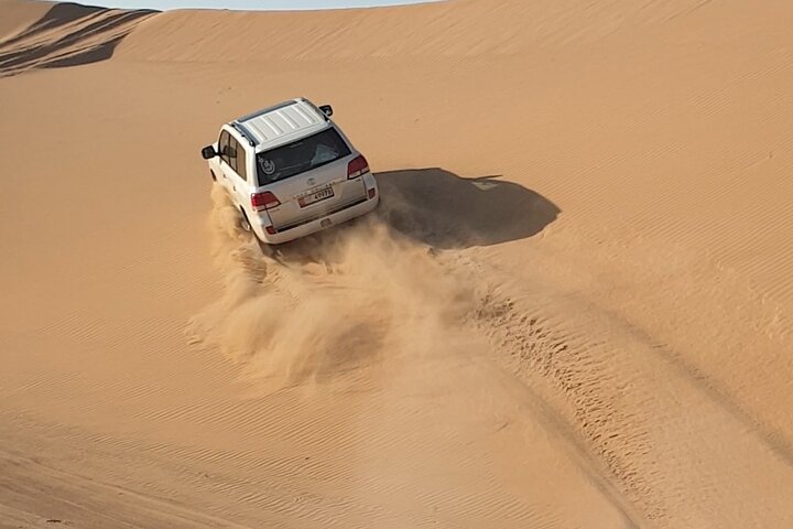 Abu Dhabi Full-Day Desert Safari - Image 4