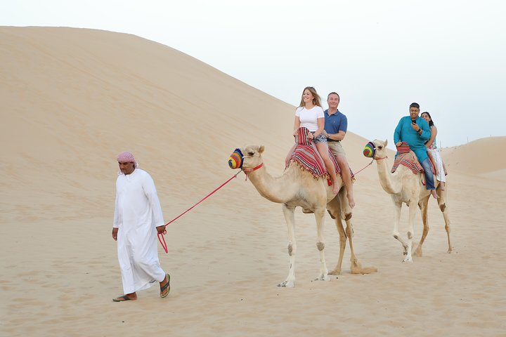 Abu Dhabi Half Day Desert Safari - Image 5