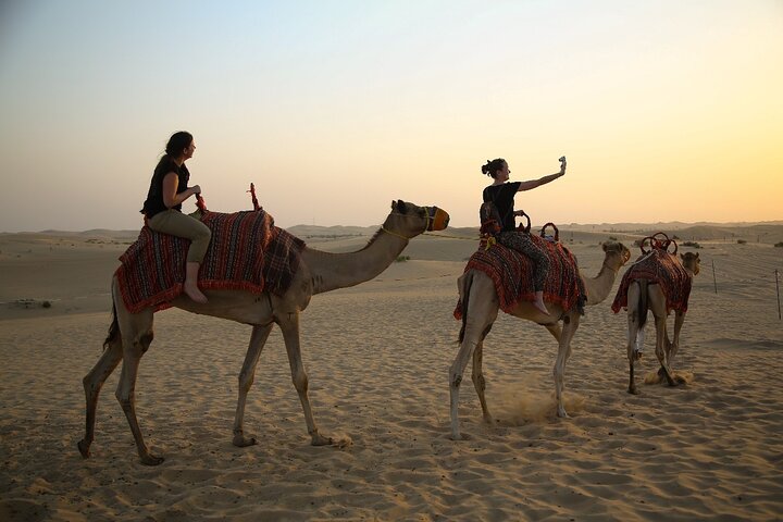 Abu Dhabi Half Day Desert Safari - Image 4