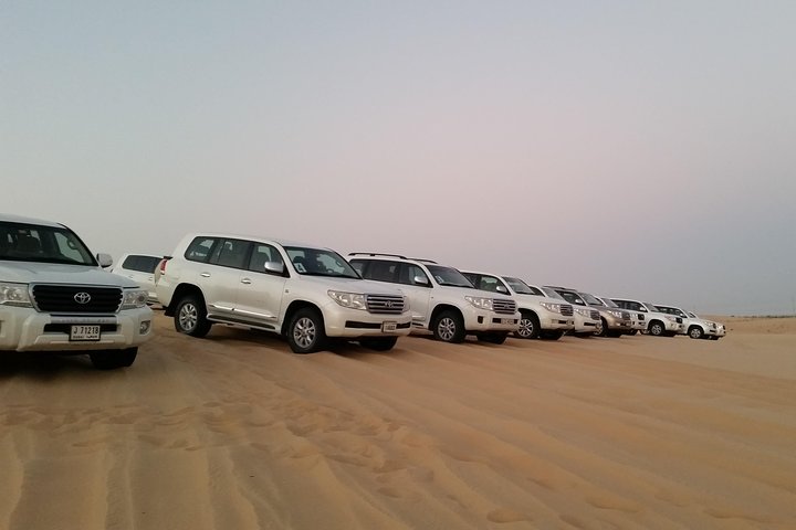 Abu Dhabi Morning Desert Safari - Image 3