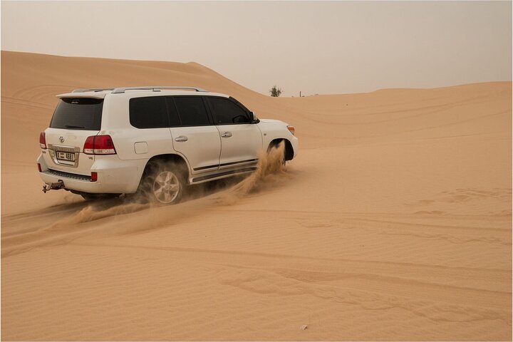 Abu Dhabi morning desert safari - Private car - Image 4