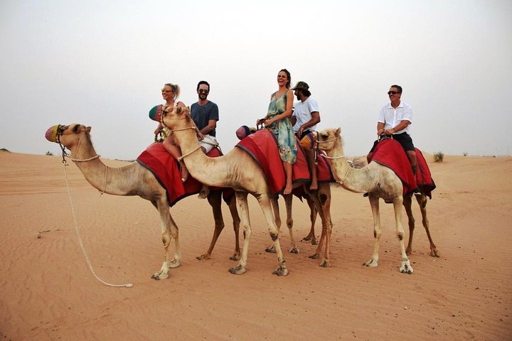 Abu Dhabi Morning Desert safari with Camel ride & Sand boarding - Image 4