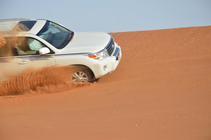 Abu Dhabi Morning Safari - Image 5