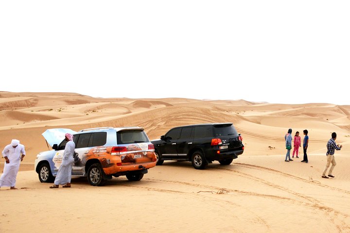 Abu Dhabi Morning Safari - Image 2