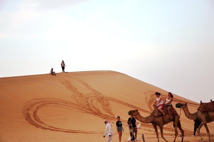 Abu Dhabi Morning Safari - Image 3