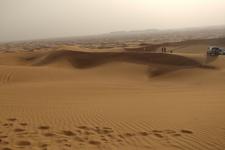 Abu Dhabi Royal Safari with Dune Bashing, Sunset Camel Ride, Sandboarding & BBQ - Image 3
