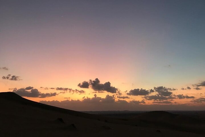 Abu Dhabi Royal Safari with Dune Bashing, Sunset Camel Ride, Sandboarding & BBQ - Image 5