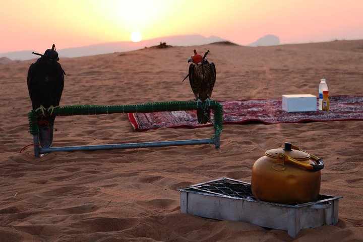 Abu Dhabi Sunriser Desert Safari  - Image 4