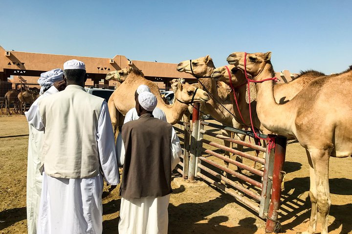 Al Ain Oasis Tour - Image 4