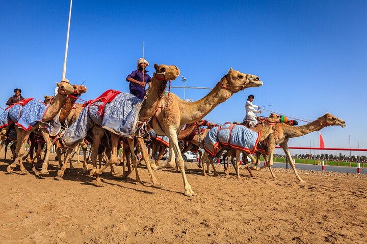Al Ain Tour from Abu Dhabi - Image 1