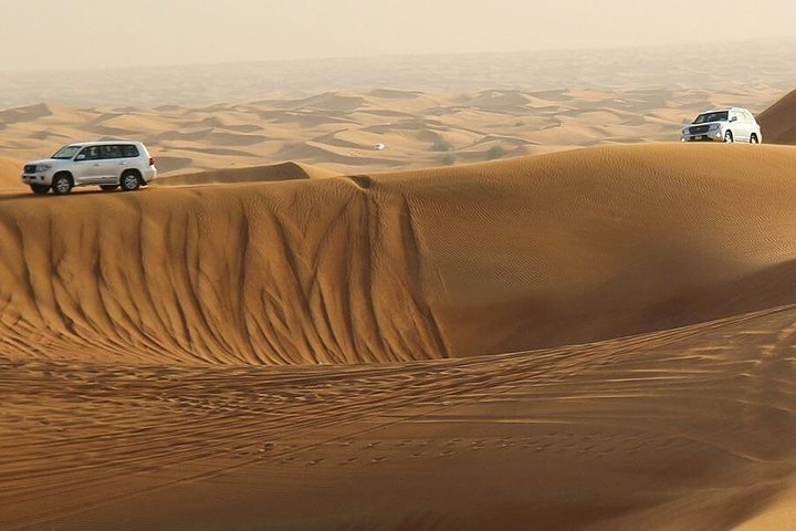 Amazing Abu Dhabi Evening Safari - Image 2