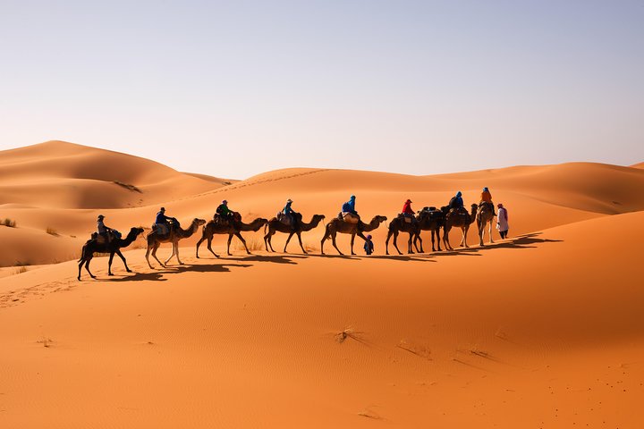 Camel Trekking - Image 5
