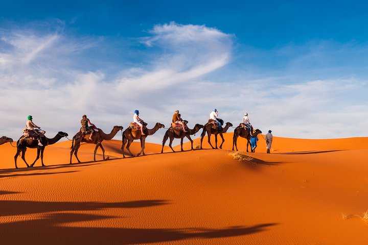 Camel Trekking - Image 1