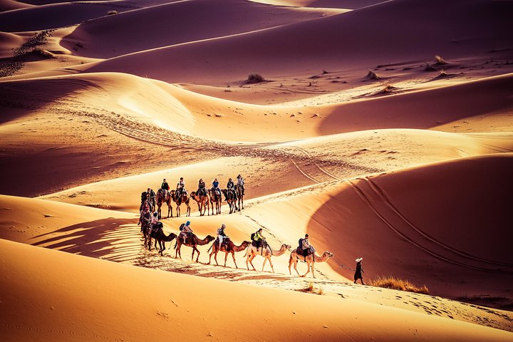 Camel Trekking - Image 3