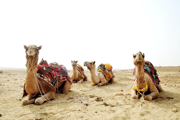 Camel Trekking - Image 2