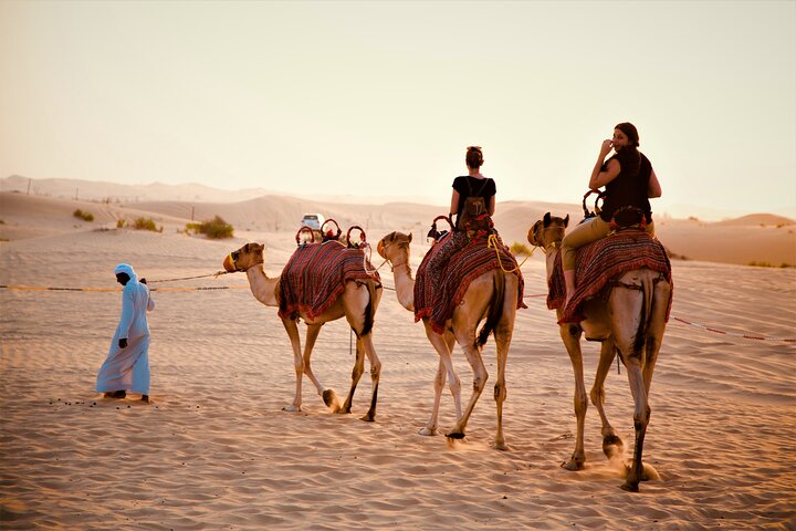 Camel Trekking in Abu Dhabi - Image 4