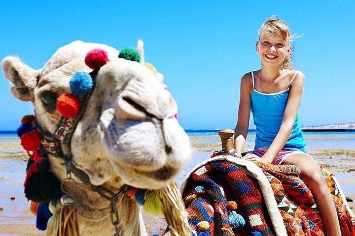 Camel Trekking in Abu Dhabi - Image 1