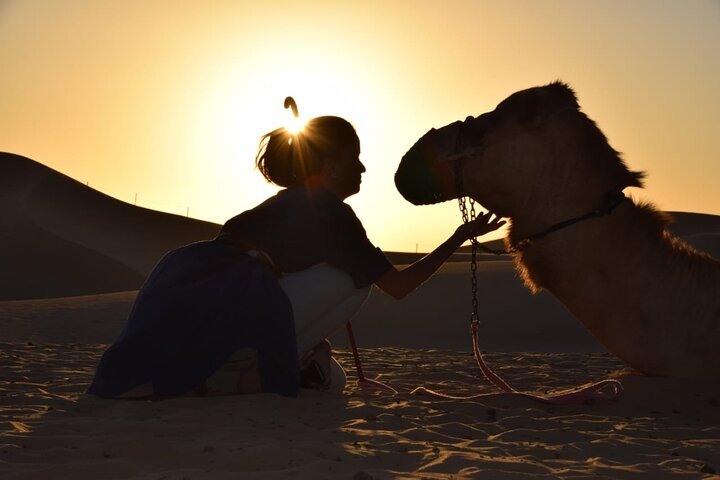 Camel Trekking in Abu Dhabi - Image 2