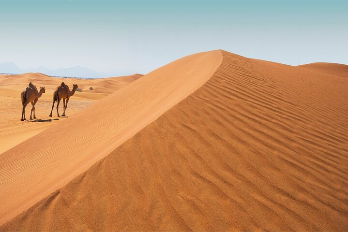 Desert Safari Abu Dhabi w/ Sand Boarding, Camel Ride & BBQ Dinner - Image 4