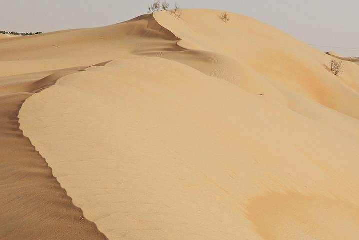 Drive 4x4 in highest dunes Rub Al Khali (Empty Quarter) - Liwa Self Drive Tour - Image 5