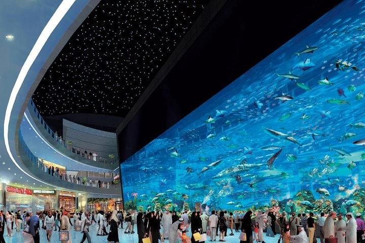 Dubai City tour from Abu Dhabi - Image 2