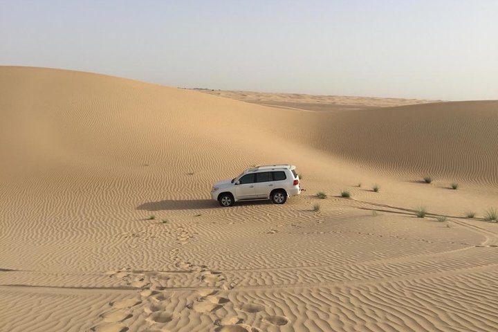 Dubai Kids Friendly Morning Safari - Private Car - Image 4
