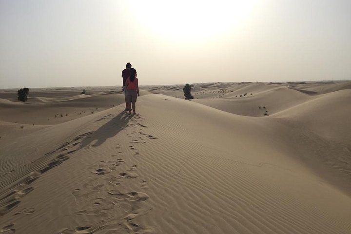 Dubai Kids Friendly Morning Safari - Private Car - Image 3