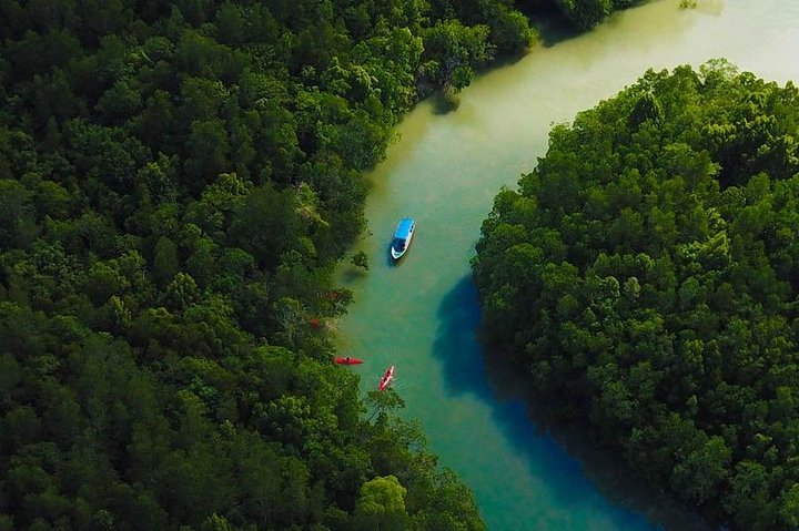 Eco-Mangrove Boat Cruises - Image 1