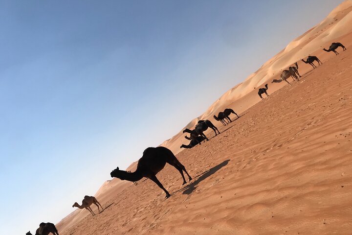 Empty Quarter Sunset Desert Safari  - Image 5