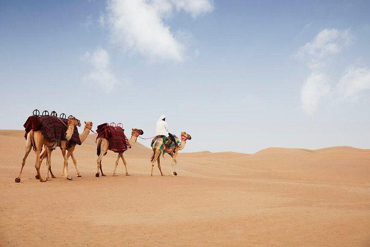 Evening Abu Dhabi Desert Safari & BBQ Dinner- Standard Tour  - Image 3