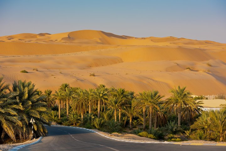Explore Liwa Full Day Desert Safari - Image 3