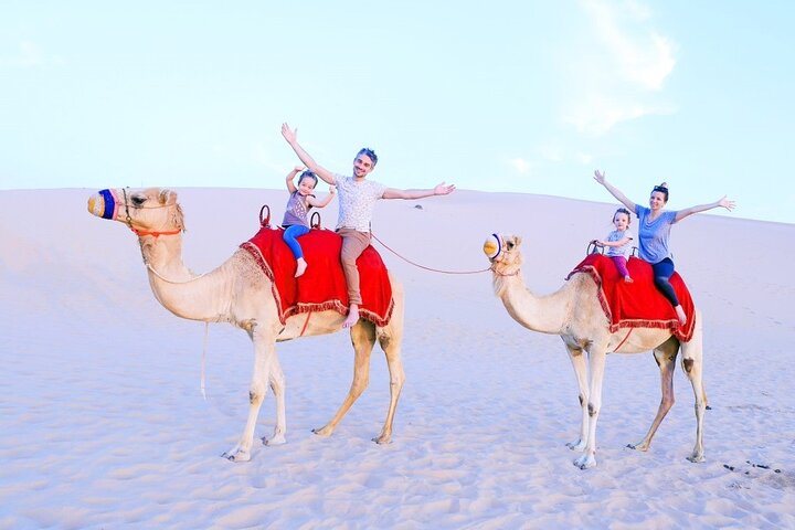 Half-Day Desert Safari from Abu Dhabi  - Image 3