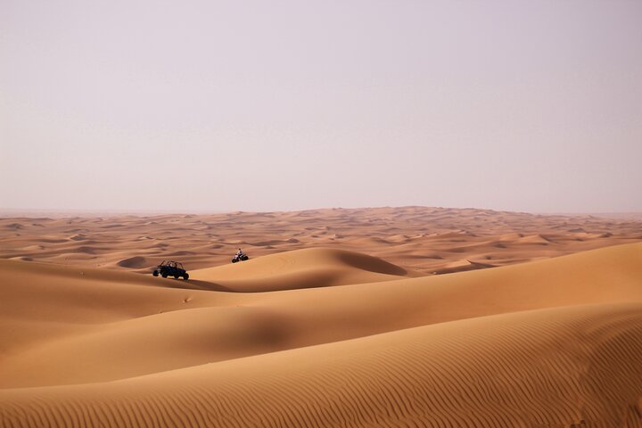 Half-Day Morning Desert Safari in Abu Dhabi - Image 2