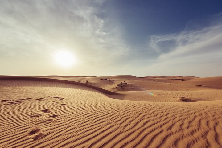 Half-Day Morning Desert Safari in Abu Dhabi - Image 3