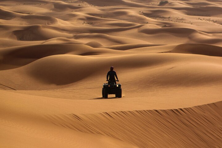 Half-Day Morning Desert Safari in Abu Dhabi - Image 5