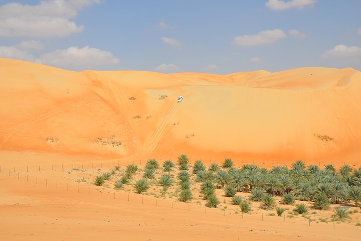 Liwa Full Day Desert Safari (exploring) - Image 2