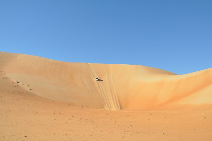 Liwa Full Day Desert Safari (exploring) - Image 1