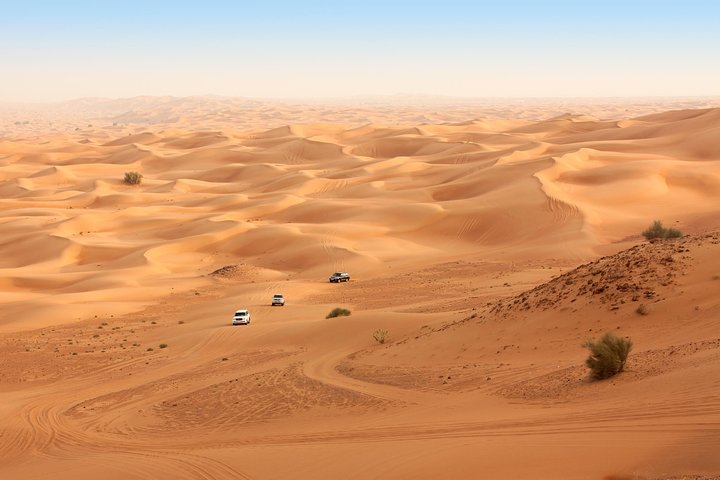 Liwa Full Day Desert Safari from Abu Dhabi - Image 1