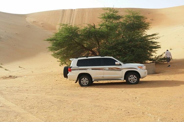 Liwa Full Day Desert Safari from Abu Dhabi - Image 2