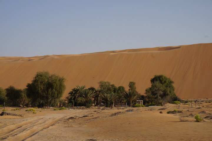 Liwa Full Day Desert Safari from Abu Dhabi - Image 5