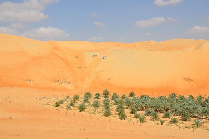 Liwa Full Day Desert Safari from Abu Dhabi - Image 3