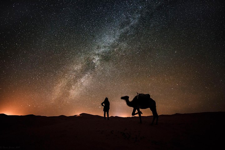 Liwa Over night Camping - The Empty Quarter Dunes (Tel Moreeb) with Meals  - Image 2